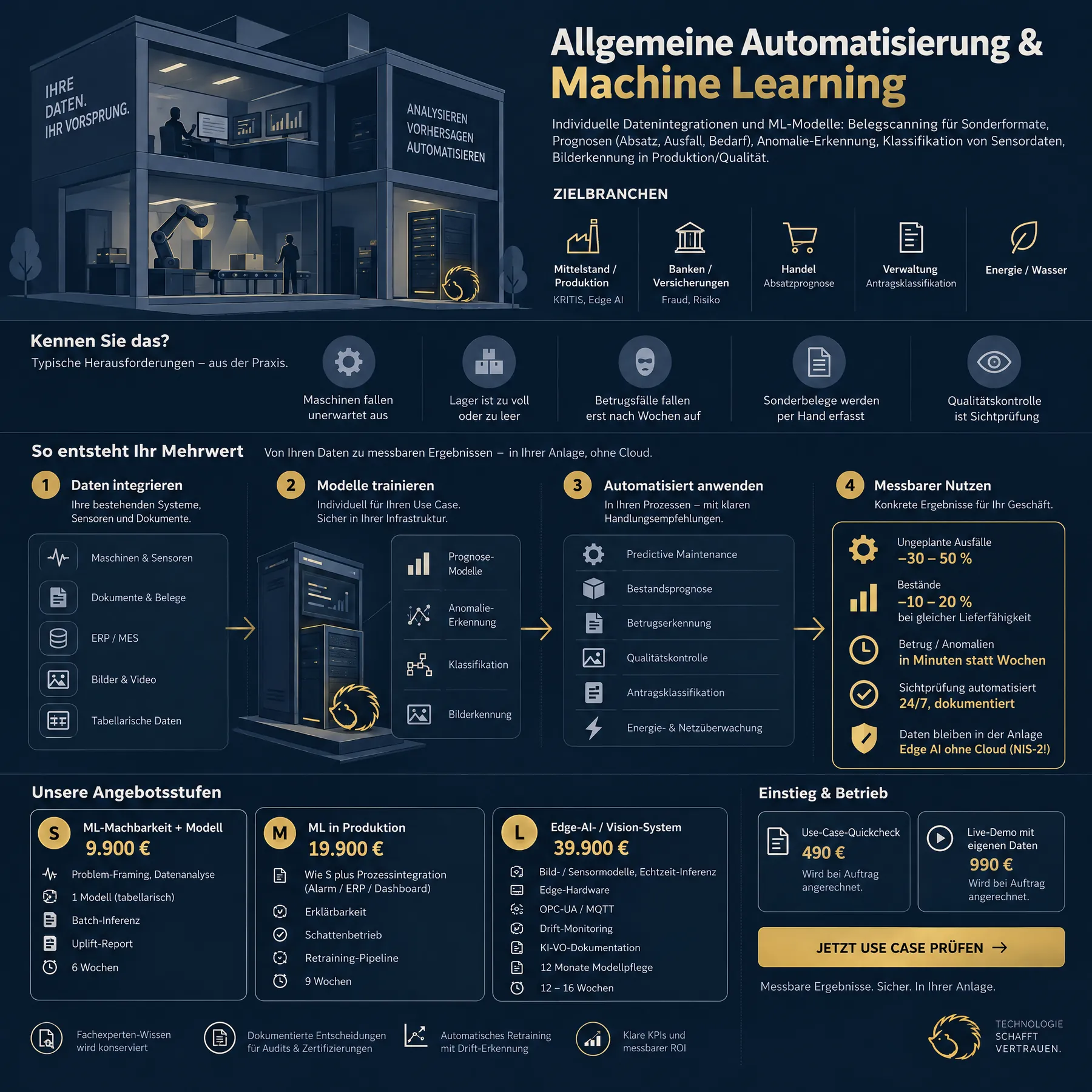 Infografik Allgemeine Automatisierung & Machine Learning: Ablauf, Nutzen, Angebotspalette